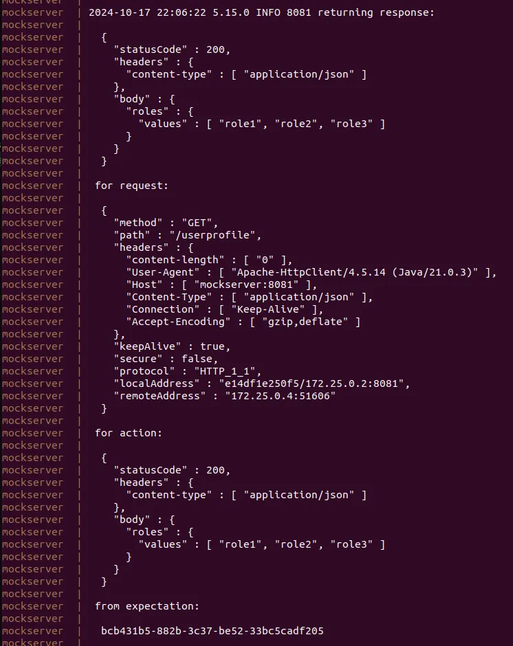 Mock server logs